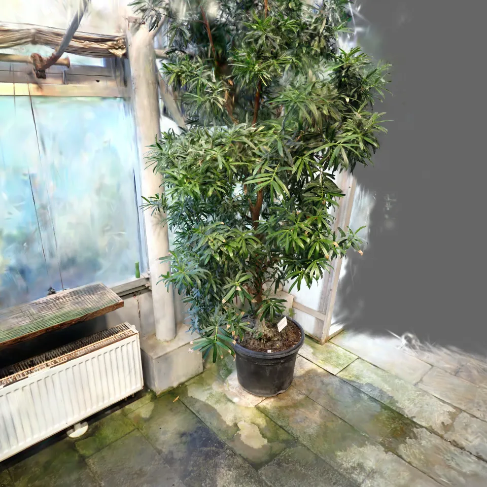 Tartu Botaanikaaed 8