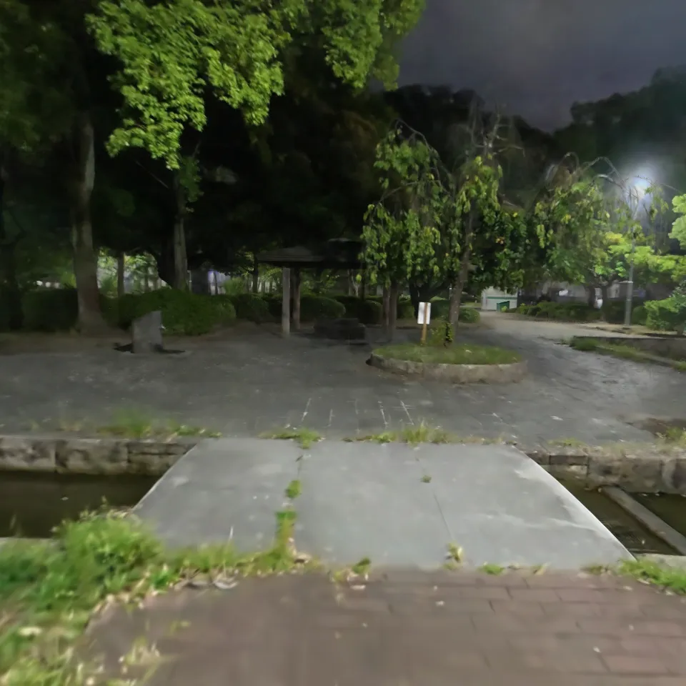 Osmo360_Night-Park01