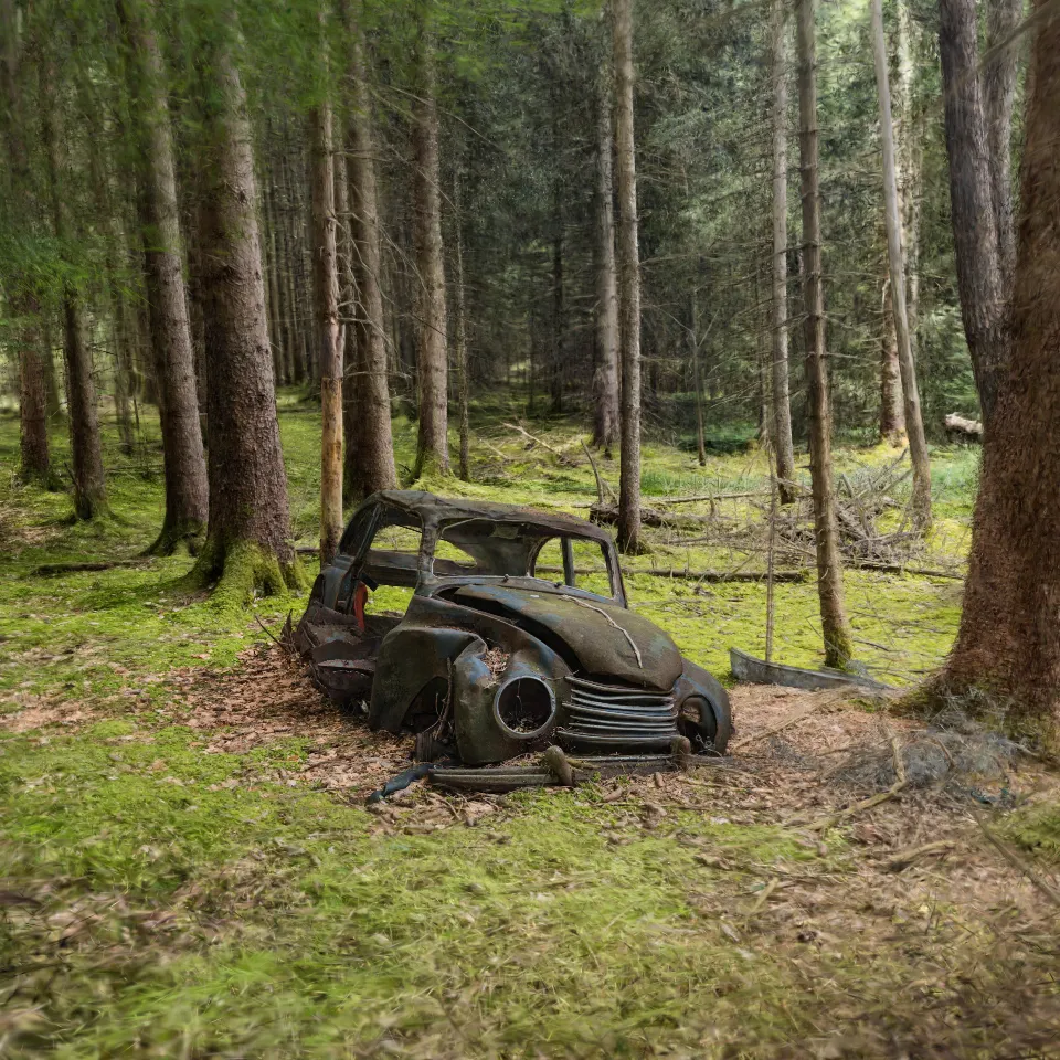 2025-07-18_Auto im Wald (DKW F89)