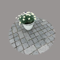 flower pot / kukkaruukku