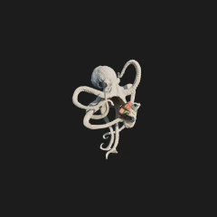 Character Capture — 001 · Octopus
