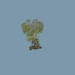 SycamoreTreeHouse