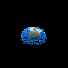 Quel Imaging Lung Phantom