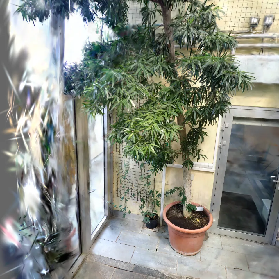 Tartu Botaanikaaed 3