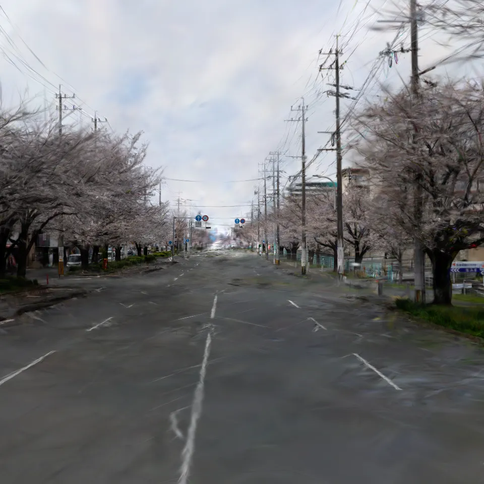 row of cherry blossom trees