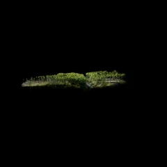 Choctawhatchee Bay