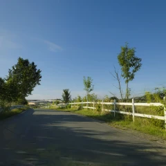 Country road