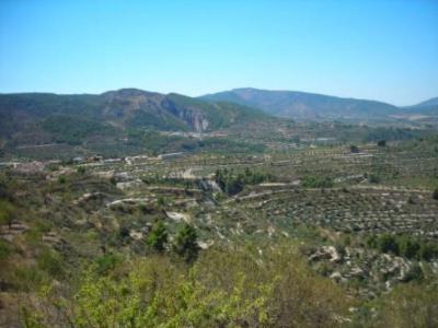 Cheap Spanish  Land Available