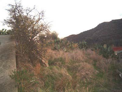  Land to Buy in Melini - Cyprus 