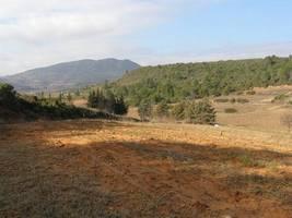 French Property for Sale in Herault | Languedoc-roussillon | France