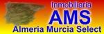 Inmo AMS