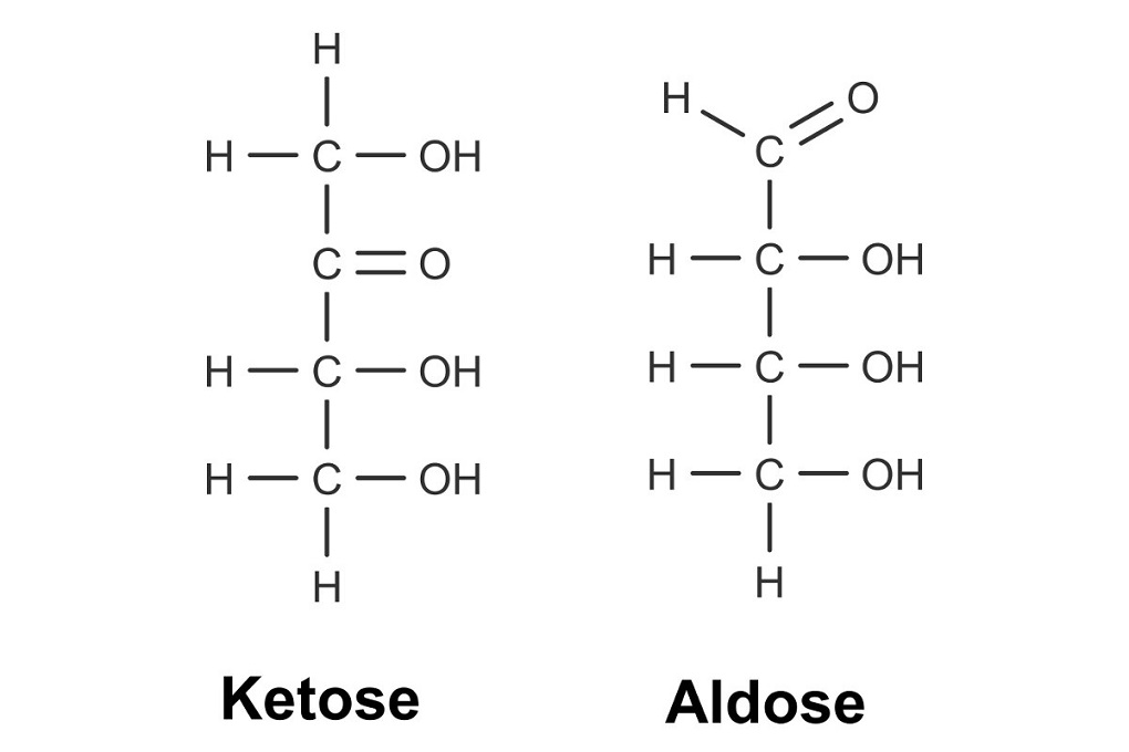 Ketose mit einer Ketogruppe und Aldose mit einer Aldehydgruppe Ketose mit einer Ketogruppe und Aldose mit einer Aldehydgruppe
