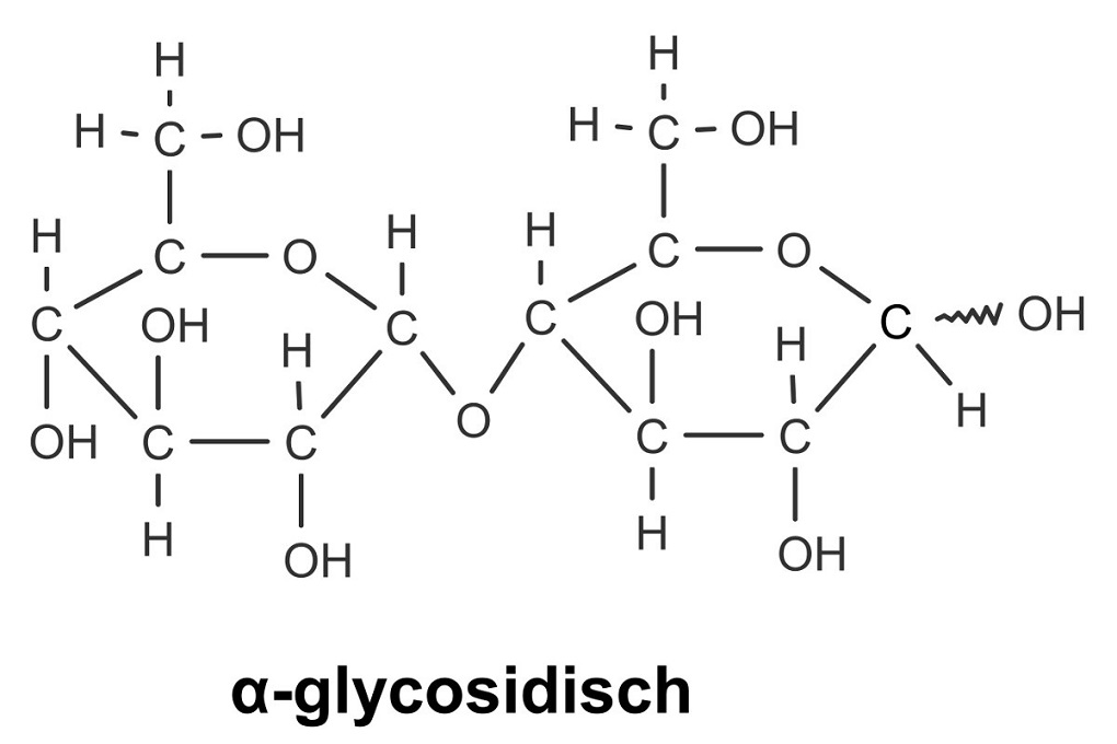 alpha-glycosidische Bindung in Maltose alpha-glycosidische Bindung in Maltose