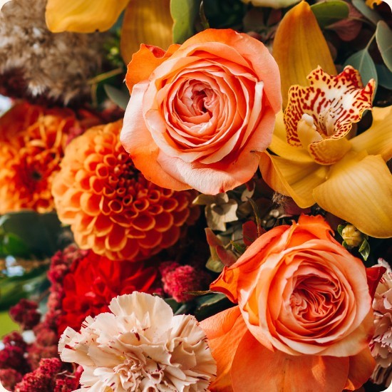 Le Temps Des Fleurs, votre fleuriste à La BalmedeSillingy