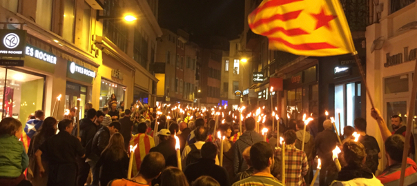 Manifestació Perpinyà 7 de novembre de 2015