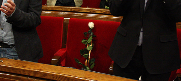 Rosa blanca en record a Muriel Casals
