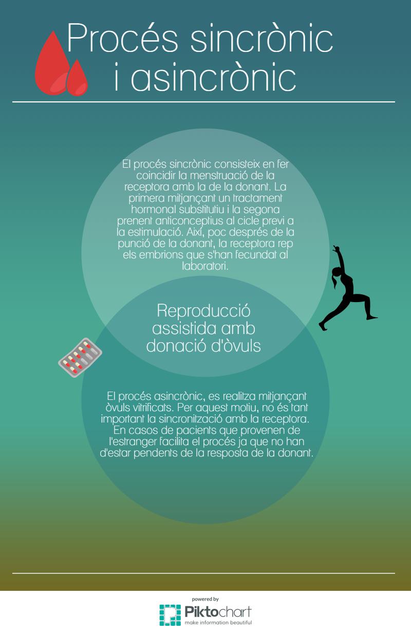 sincronitzaci-5_17149688_258ece0b97e12d34982967728fe89bf0498061ef