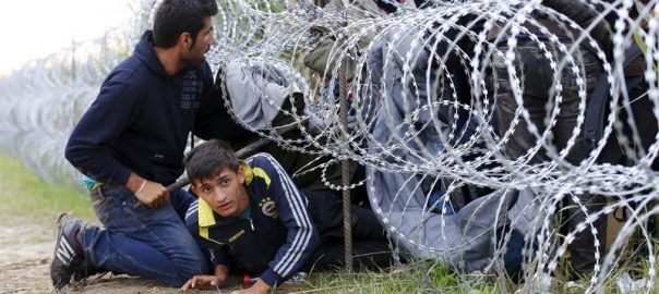 fotonoticia_20150826102230_800-604x270