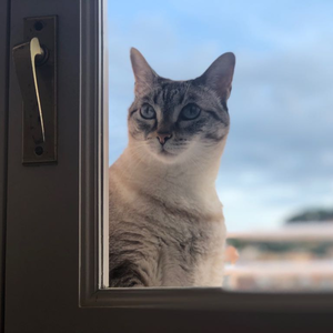 francesc xavier serra