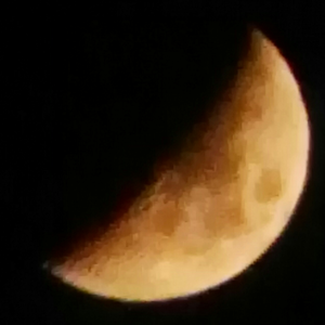 Iu Corberó