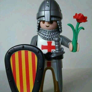 Jordi Sanarau