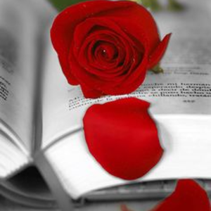 Francesc Xavier Bueno