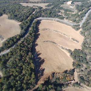 MARIA ASSUMPTA VERGÉS