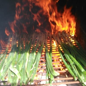 JOSEP ANTONI HERMOSILLA