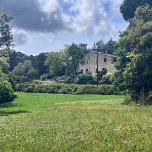 Bernat Pratginestós