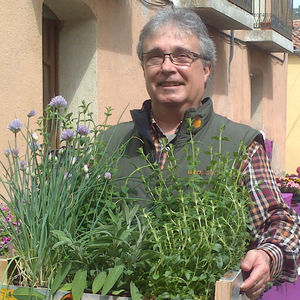 Gaspar Coll