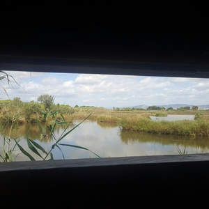 XAVIER FERNANDEZ