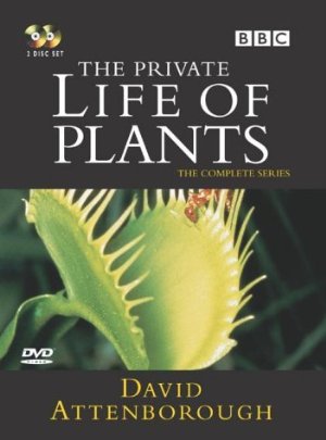 movie cover