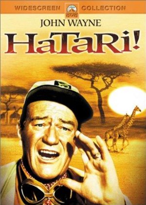movie cover