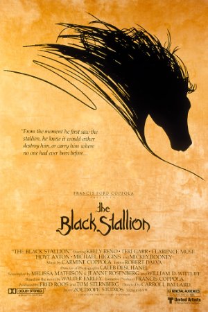 movie cover