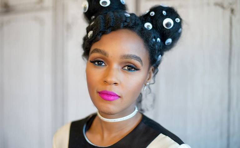 Janelle Monae pansexual