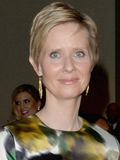 Cynthia Nixon bisexual