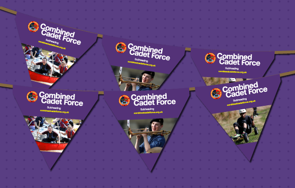 Ccf Website Main Bunting