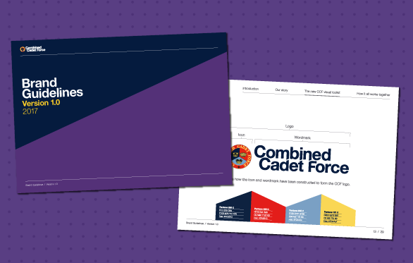 Ccf Website Main Guide