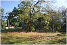 Arbopark Arbopark