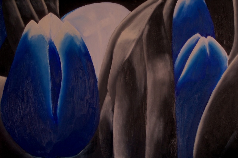 Blauwe tulp