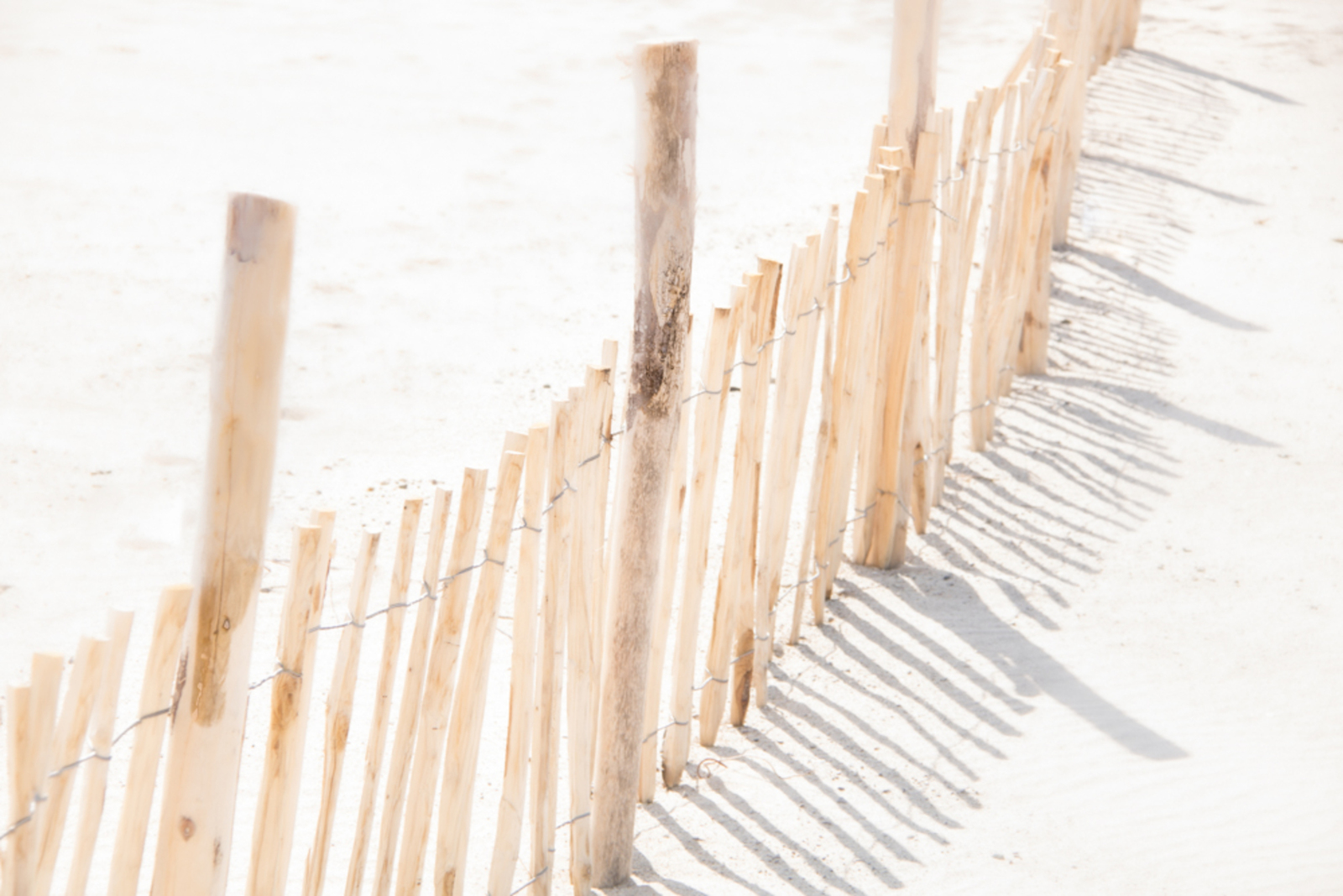 zomer strand