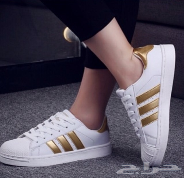 ���� ���� ������ �� ���� ������