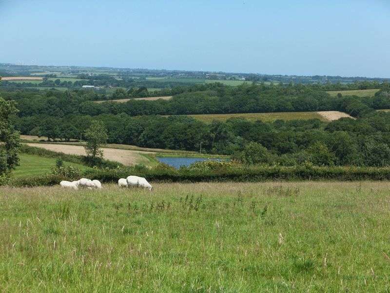 Properties for Sale in Beaworthy, Beaworthy Devon