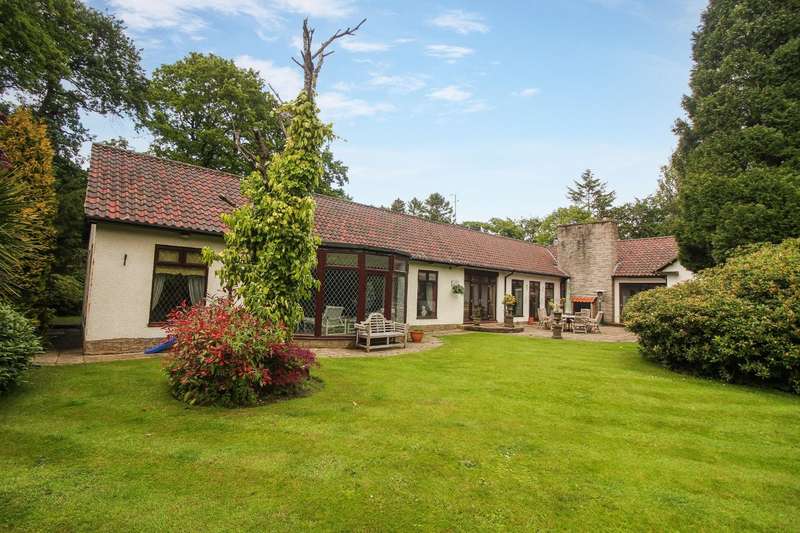 Property for Sale in South Drive, Woolsington, Newcastle Upon Tyne