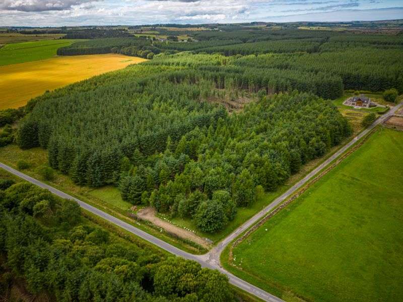 Properties for Sale in Fraserburgh, Fraserburgh Aberdeenshire