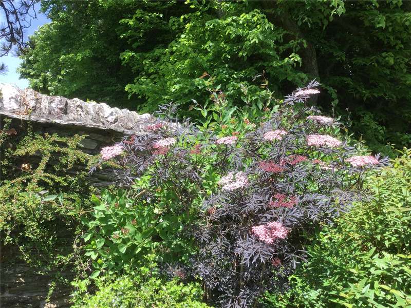 Property for Sale in Summerhill, Strete, Dartmouth, Devon, Tq6