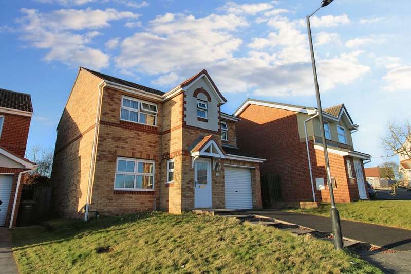 4 Bedrooms Detached House for sale in Bed Detached House To Buy In, NE5