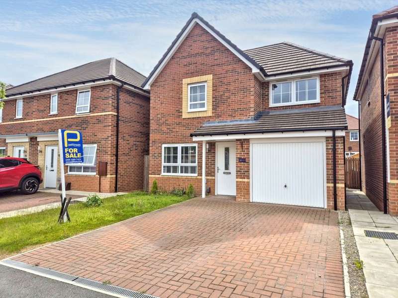 3 Bedrooms Detached House for sale in Bed Detached House To Buy In, NE31