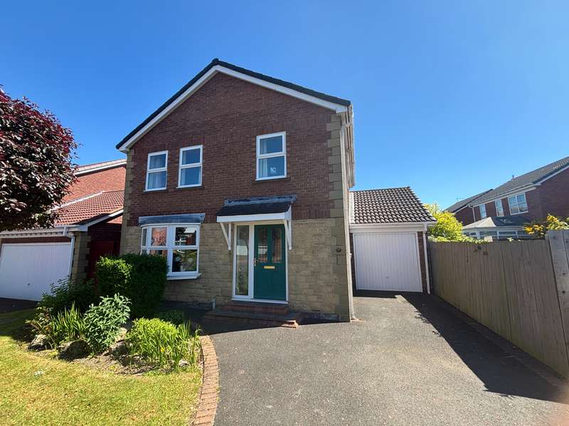 4 Bedrooms Detached House for sale in West Meadows, Chapel Park, Newcastle Upon Tyne, NE5