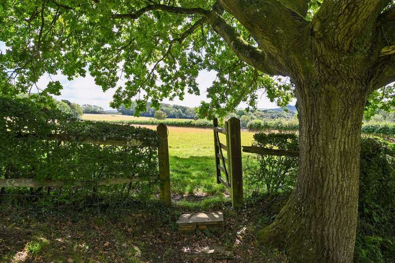 Property for Sale in Bearstakes, New Way Lane, Hurstpierpoint, Hassocks, West Sussex, Bn6